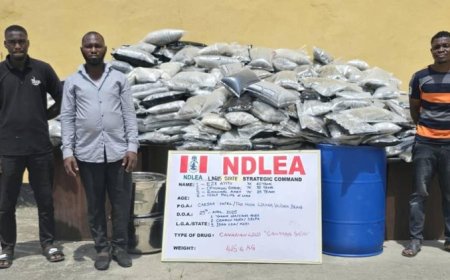 NDLEA Busts Major Drug Trafficking Operation