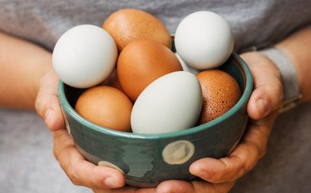 *Benefits of Eating Eggs*