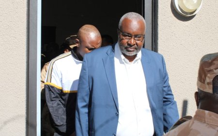 Namibia’s Agriculture Minister Fired Amid Bribery and Assault Allegations