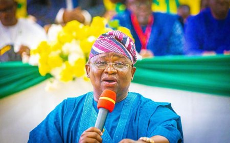 Buhari’s Administration Borrowed $400 Billion to Prop Up Naira