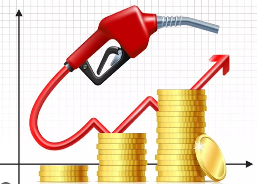 Petroleum Retailers President Warns Fuel Prices Could Surpass N1,000 Per Litre Amid Deal Negotiations