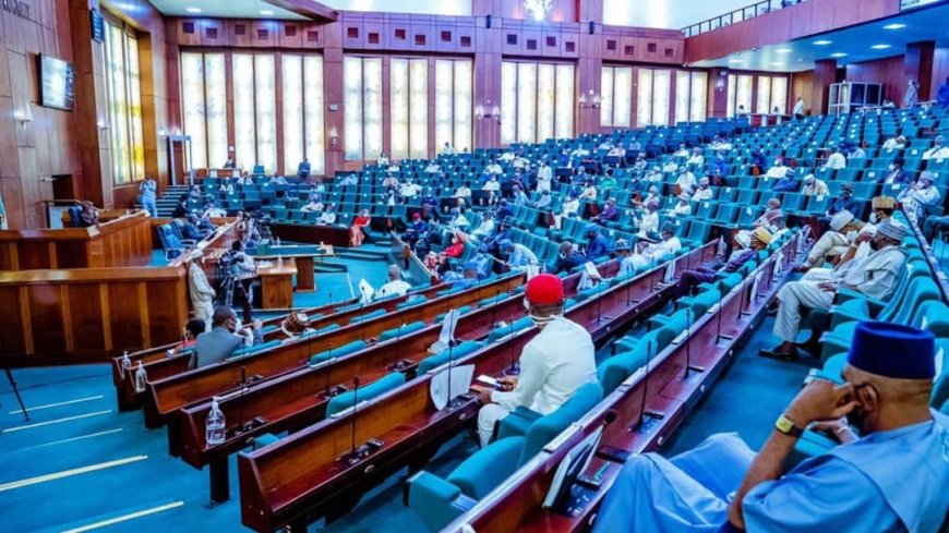 NASS Proposes Jail-Term for Non-Voters
