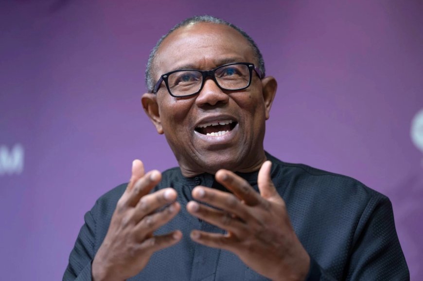 Peter Obi Urges President Tinubu to Cut Retreat Short and Address Issues at Home