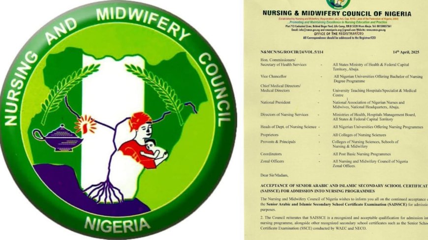 Nursing Council Approves Arabic Certificate for Admission Amid Mixed Reactions