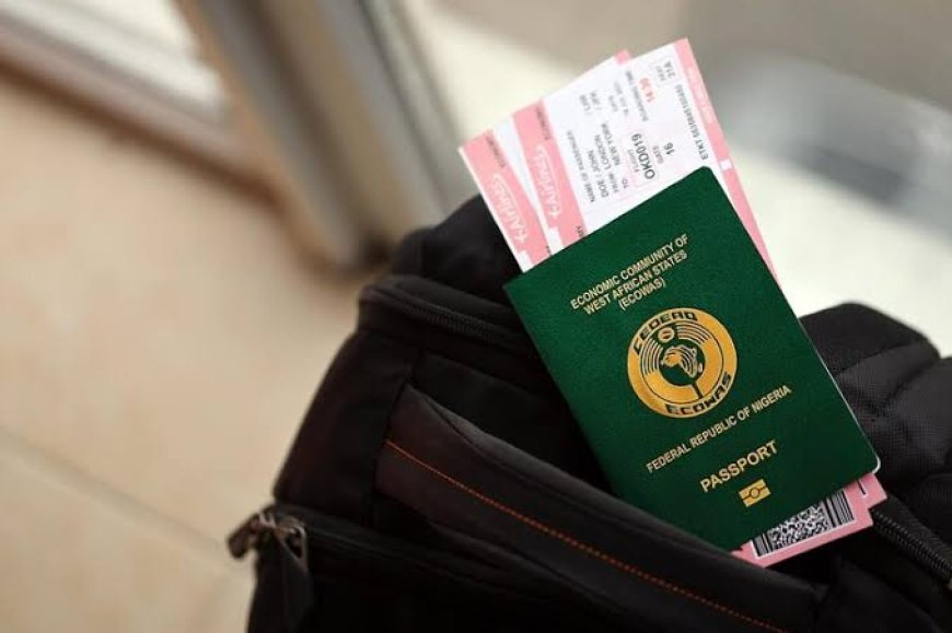 Nigerians Account for One in 30 UK Asylum Claims from 2010 to 2024