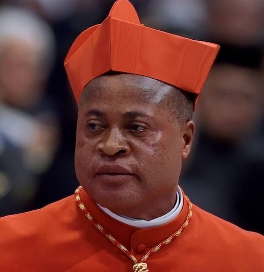 Only One Nigerian Cardinal Eligible to Vote in Papal Election, Says CBCN