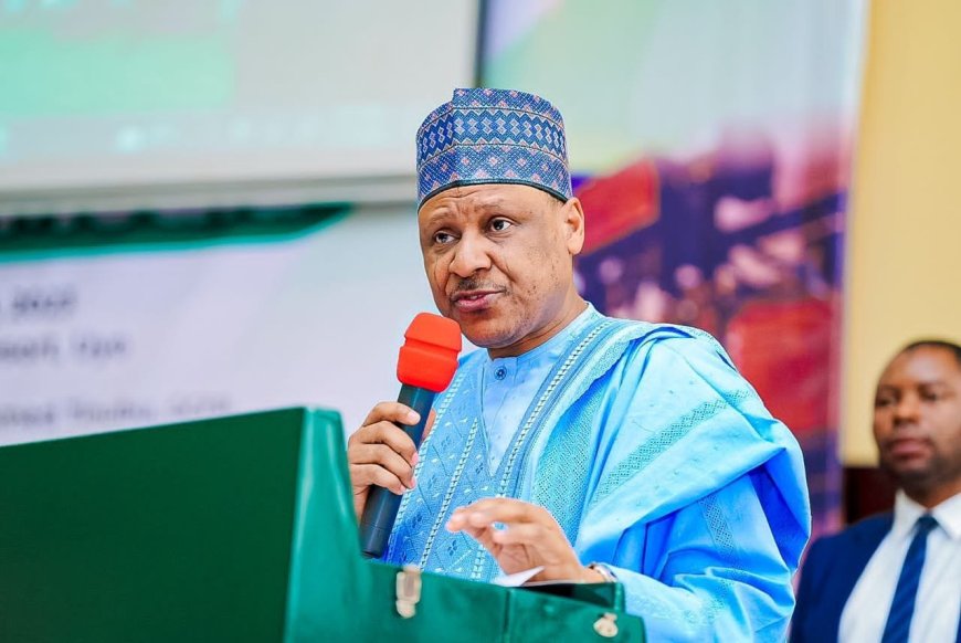Minister Claims Tinubu’s Policies Are Driving Down Food Prices in Nigeria