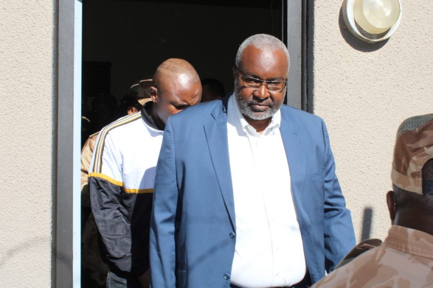 Namibia’s Agriculture Minister Fired Amid Bribery and Assault Allegations