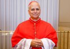 Pope Leo XIV Returns to the Popemobile, Blesses Children and Waves to Crowds