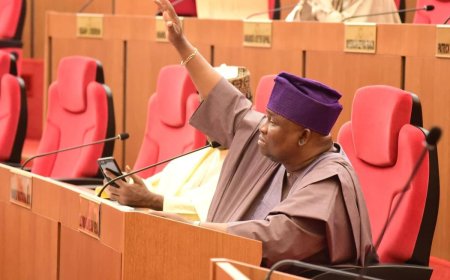 Senator Adeola Calls for Political Awakening in Ogun West After 49 Years Without Governorship