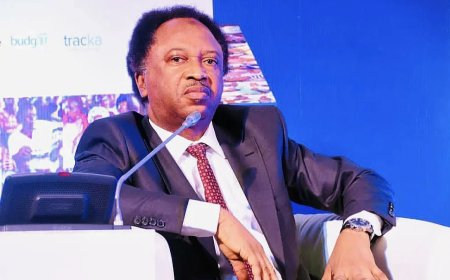 "Watch Your Words Legal Fees Are Real": Shehu Sani Cautions Social Media Users