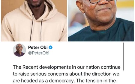 Peter Obi Decries Arrest of VeryDarkMan, Warns Against Silencing Young Voices