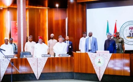 FG Approves Bill to Establish National Cocoa Management Board to Revive Industry
