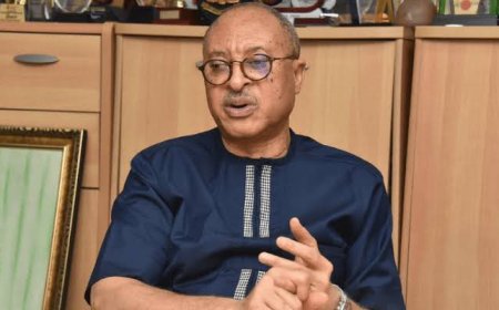 Pat Utomi Launches Shadow Cabinet to Challenge Tinubu’s Leadership, Sparks Government Backlash