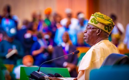 President Tinubu Presents N1.78 Trillion Budget Proposal for FCT in 2025