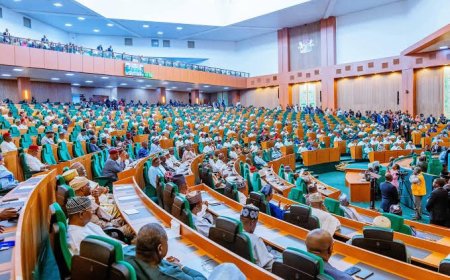 Senate Redefines VAT Sharing Formula, Prioritizes Consumer Location