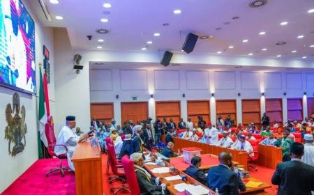 Senate Backs 7.5% VAT, Approves New Sharing Formula and Sustains Key Education and Innovation Funds