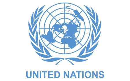 Nigeria and UN Pledge $159 Million to Combat Hunger in Borno, Adamawa, and Yobe