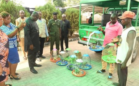 Jagaban, Two Others Arrested in Abuja for Trafficking Endangered Wildlife
