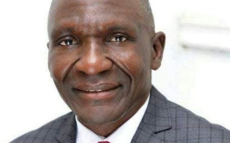 Tinubu Appoints Cyril Tsenyil as MD of North Central Development Commission