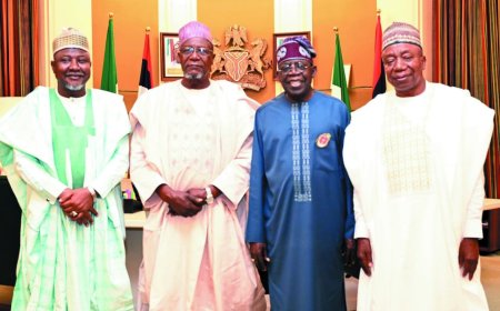 Three Kebbi PDP Senators Poised to Join APC After Meeting with President Tinubu
