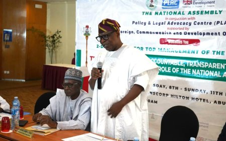 National Assembly Clerk Advocates for Technology Integration in Lawmaking Process