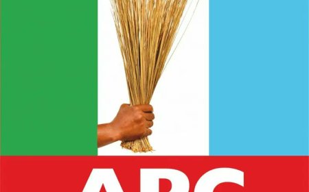 Lagos APC Unveils Chairmanship Candidates After Peaceful Primary Elections