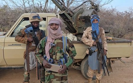 24 Civilians Killed in Coordinated EIGS Attacks on Villages in Niger's Tillabéri Region