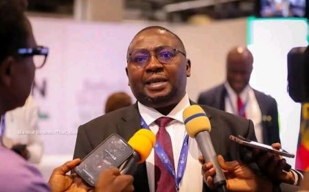 Nigeria Needs $10 Billion Annually for 20 Years to Achieve Stable Electricity – Minister Adelabu