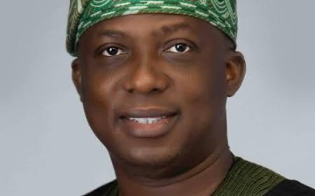 Lagos Government Dismisses Claims of Foul Odor and Mosquito Infestation