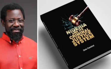 Dele Farotimi Questions State of Governance, Calls Out Top Officials