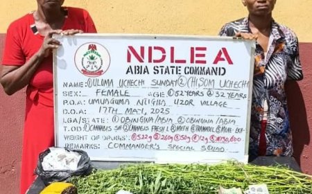 NDLEA Nabs 80-Year-Old Ex-Convict and 82-Year-Old Woman for Alleged Drug Offences in Kaduna and Abia