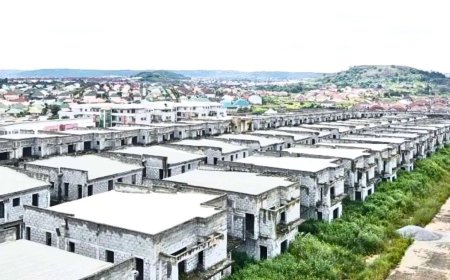 Housing Minister and EFCC Boss Inspect Confiscated 753-Unit Housing Estate