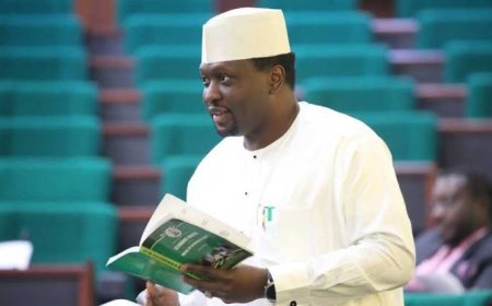 Dasuki Urges FG to Allocate Seized Abuja Estate to Military for Personnel Welfare