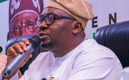Power Minister Adelabu Blames Discos for Power Failures, Calls for Urgent Overhaul and Investmen