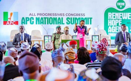 APC Governors Unite Behind Tinubu as Sole 2027 Presidential Candidate
