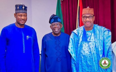Tinubu Appoints Ex-Katsina Governor Shema as Chairman of FCDA