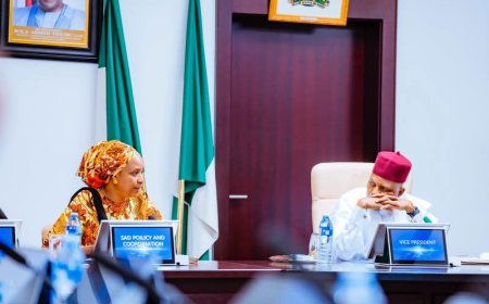 VP Shettima Highlights Institutional Reforms