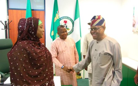 Senate Approves ₦1.8 Trillion Budget for FCT’s 2025 Statutory Spending