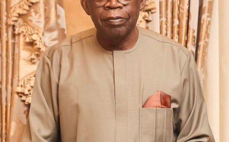 Tinubu Appoints New Leadership for Nigeria Deposit Insurance Corporation