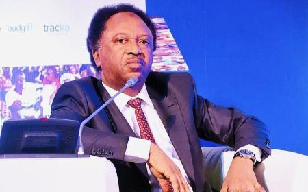 Shehu Sani Urges Nigerians to Critically Assess Their Local Leaders, Not Just President Tinubu