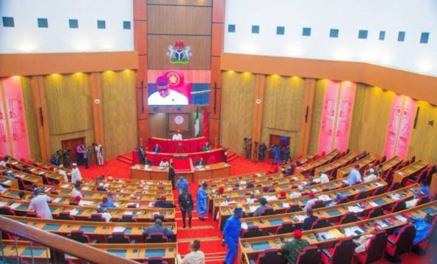 Senate Introduces Tax Reforms Bill, Urges Lawmakers to Scrutinize Proposals Thoroughly