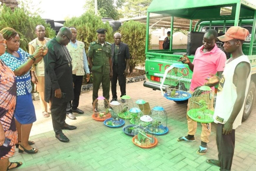 Jagaban, Two Others Arrested in Abuja for Trafficking Endangered Wildlife