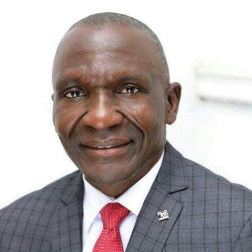 Tinubu Appoints Cyril Tsenyil as MD of North Central Development Commission