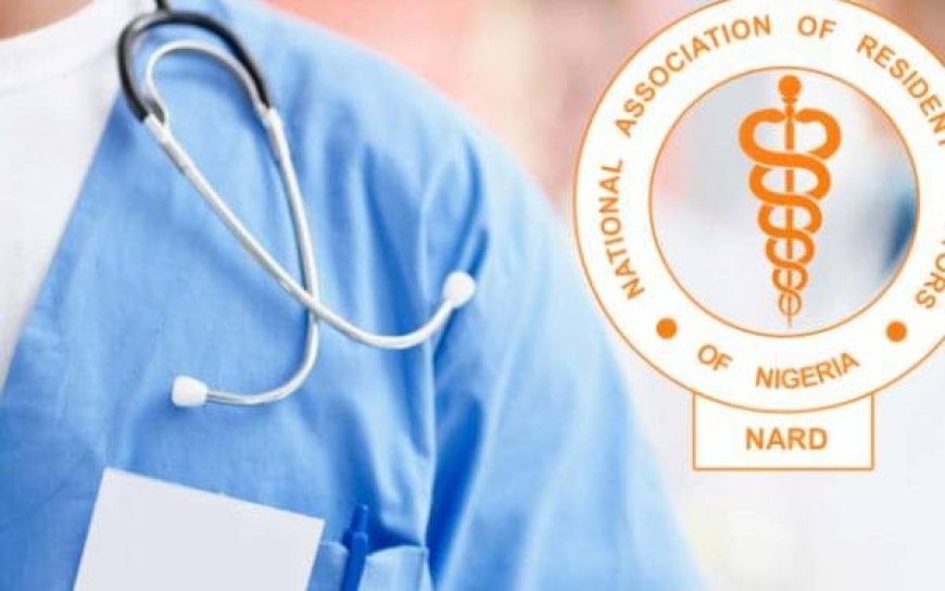 Nigerian Doctors Oppose NUC’s Decision to Grant 'Doctor' Title to Pharmacy, Physiotherapy, and Optometry Graduates