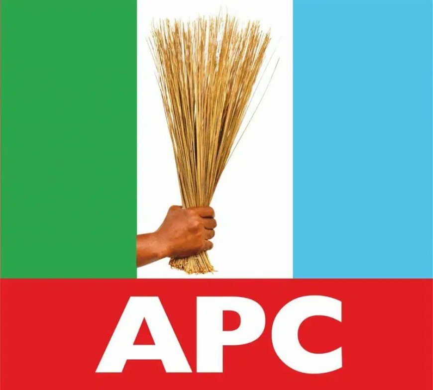 Lagos APC Unveils Chairmanship Candidates After Peaceful Primary Elections