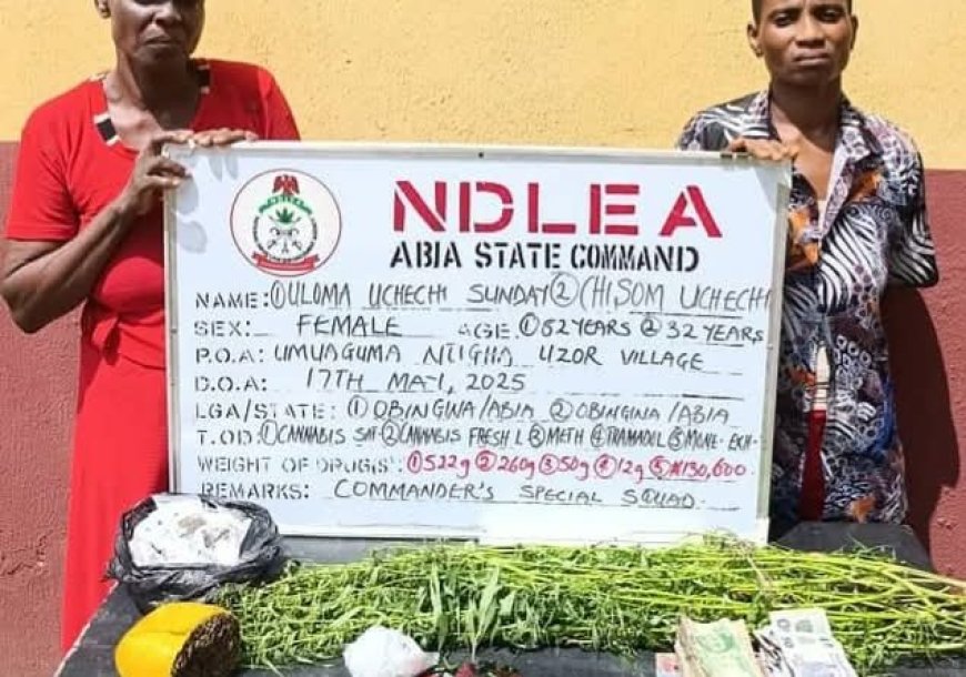 NDLEA Nabs 80-Year-Old Ex-Convict and 82-Year-Old Woman for Alleged Drug Offences in Kaduna and Abia