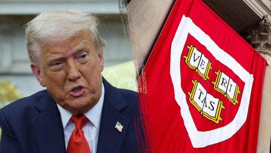 Trump Administration Revokes Harvard's Authorization to Enroll International Students, Including Nigerians