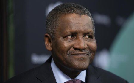 “We have more plans in store something we haven’t publicly revealed..." — Aliko Dangote