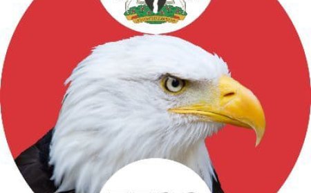 Chukwudi Okonkwo Goodness Bags 74-Year Jail Term